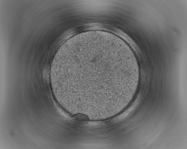 X0000110940857200907171606