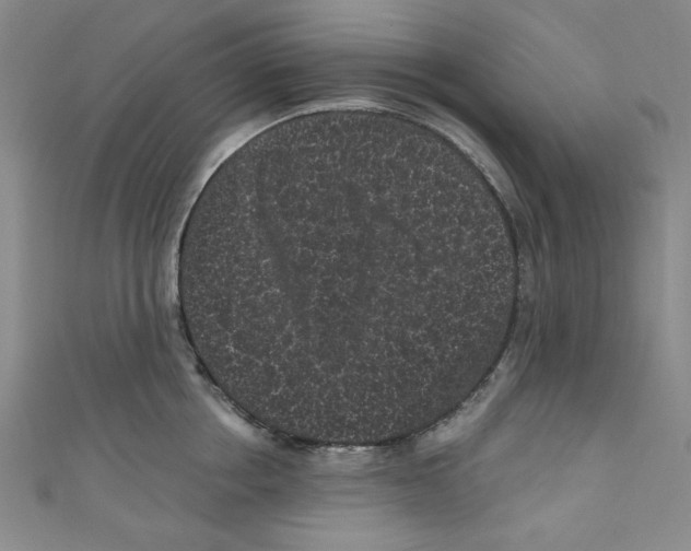 X0000110940858200907171606