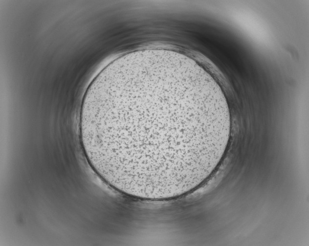 X0000110940860200907171606