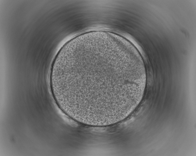 X0000110940861200907171606