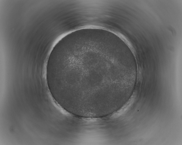 X0000110940862200907171606