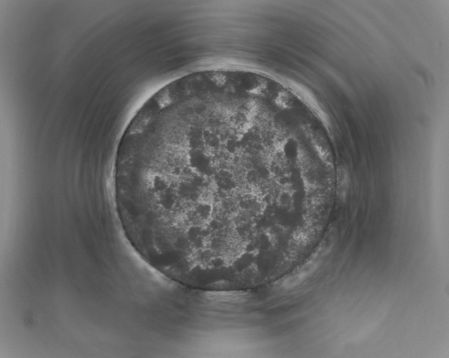 X0000110940863200907171606