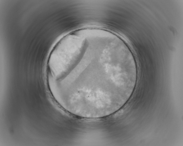 X0000110940864200907171606