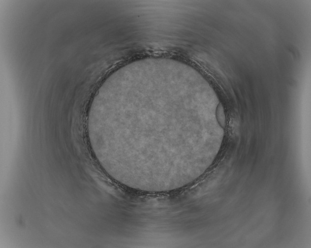 X0000110940865200907171606