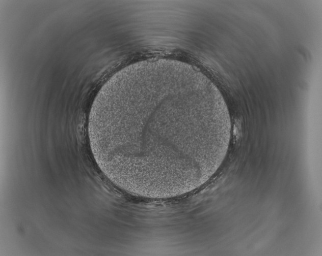 X0000110940867200907171606