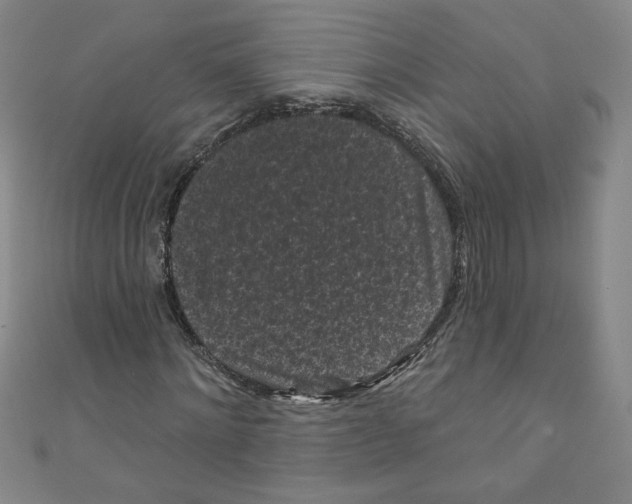 X0000110940868200907171606