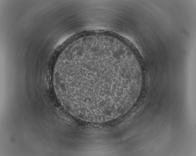 X0000110940871200907171606