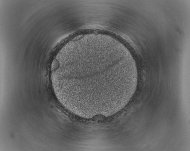 X0000110940872200907171606