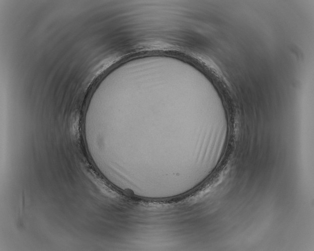 X0000110940873200907171606