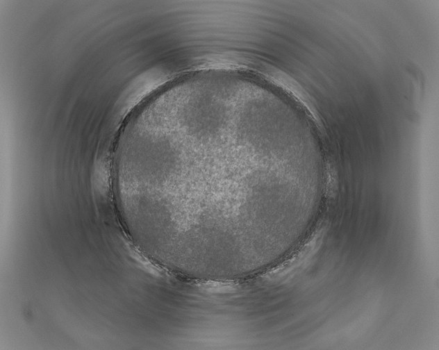 X0000110940874200907171606