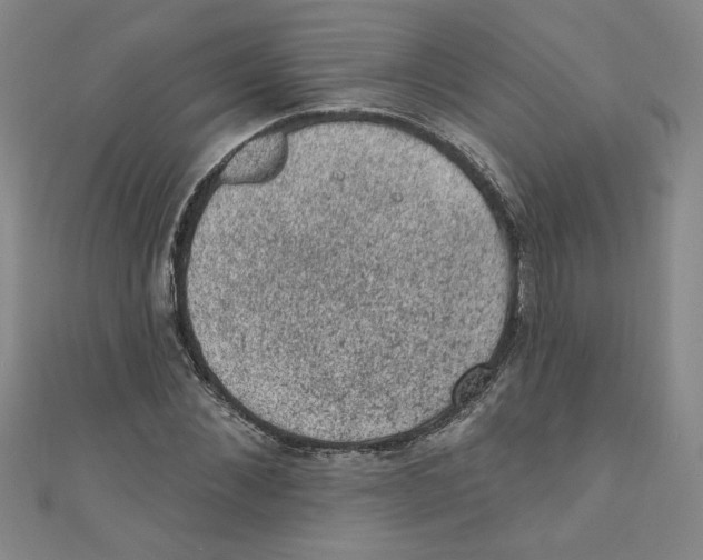 X0000110940876200907171606