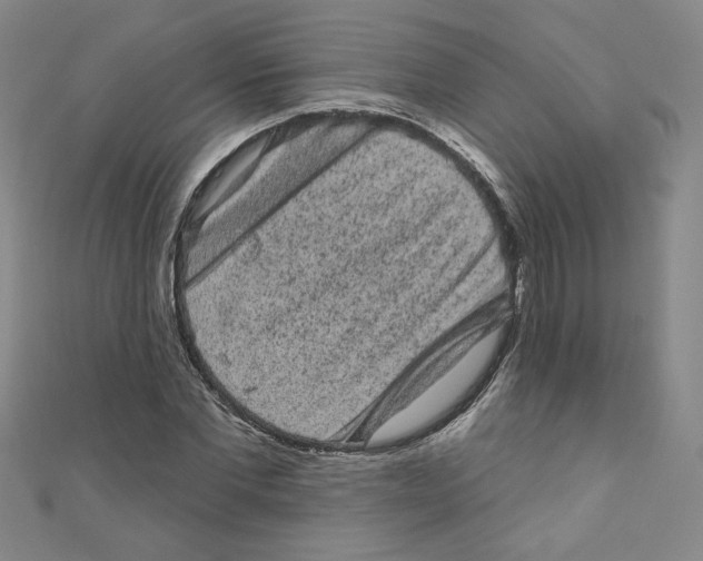 X0000110940877200907171606