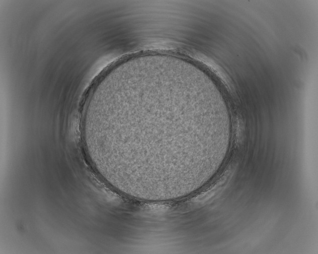 X0000110940878200907171606