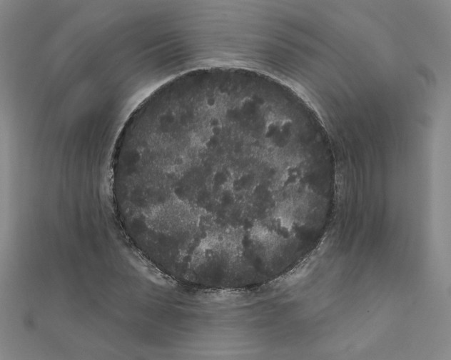 X0000110940879200907171606