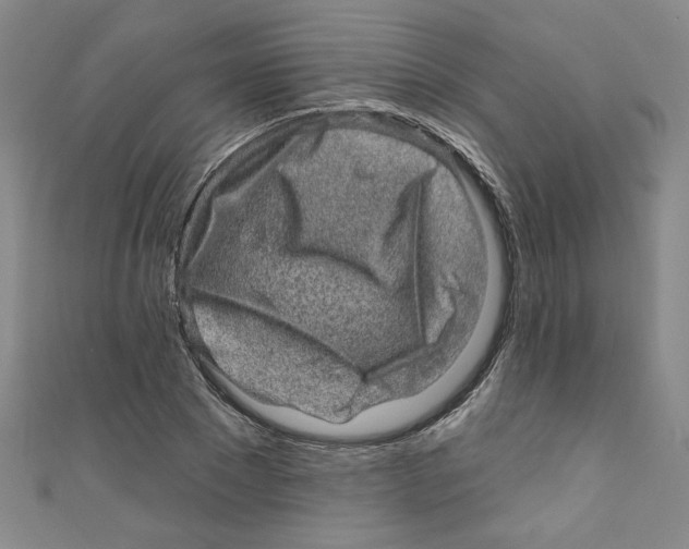X0000110940881200907171606