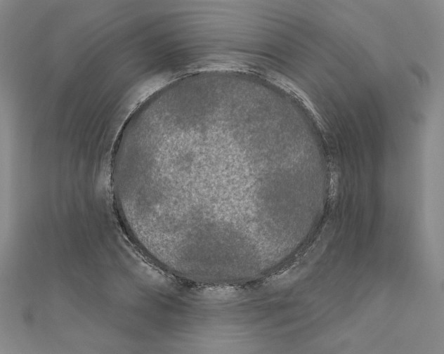 X0000110940882200907171606