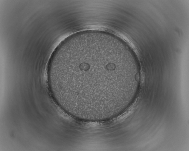 X0000110940883200907171606