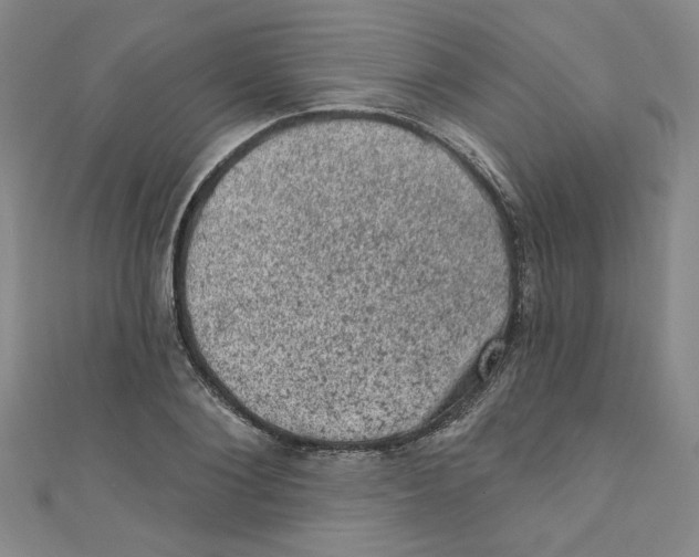 X0000110940884200907171606