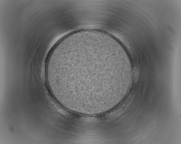 X0000110940886200907171606