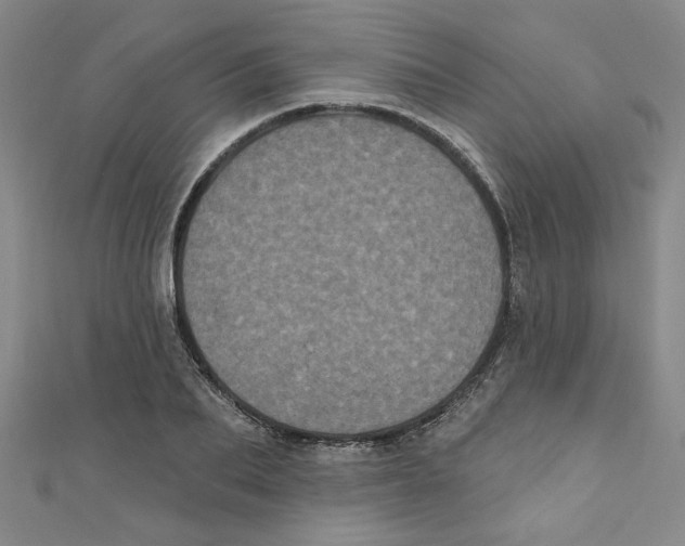 X0000110940887200907171606