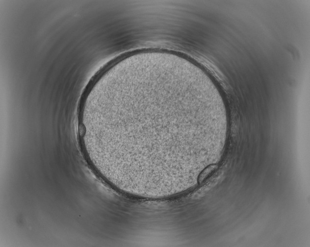 X0000110940888200907171606