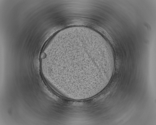 X0000110940890200907171605