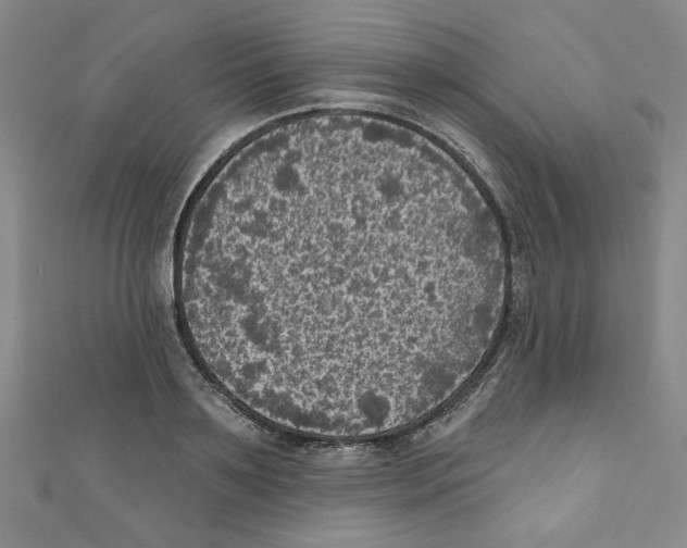 X0000110940891200907171605
