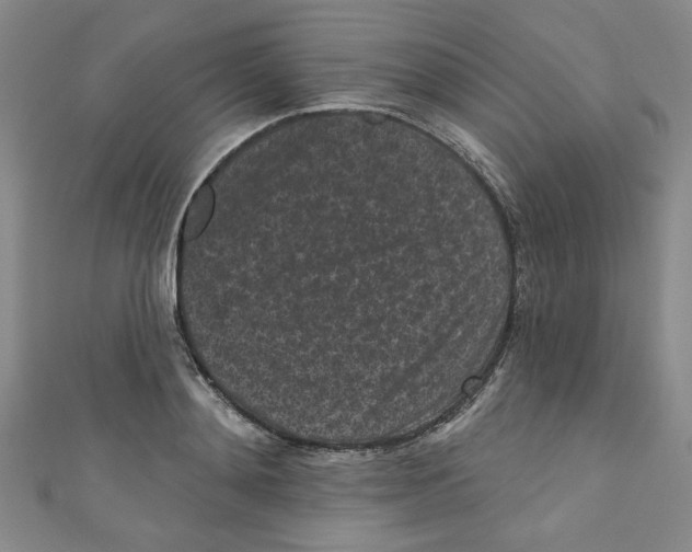 X0000110940892200907171605