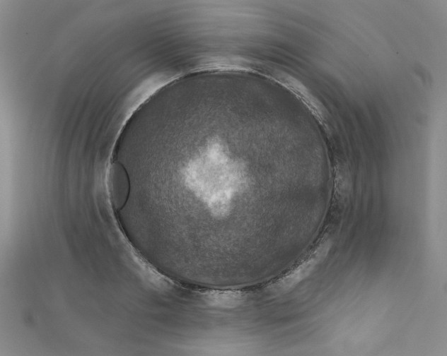X0000110940893200907171605