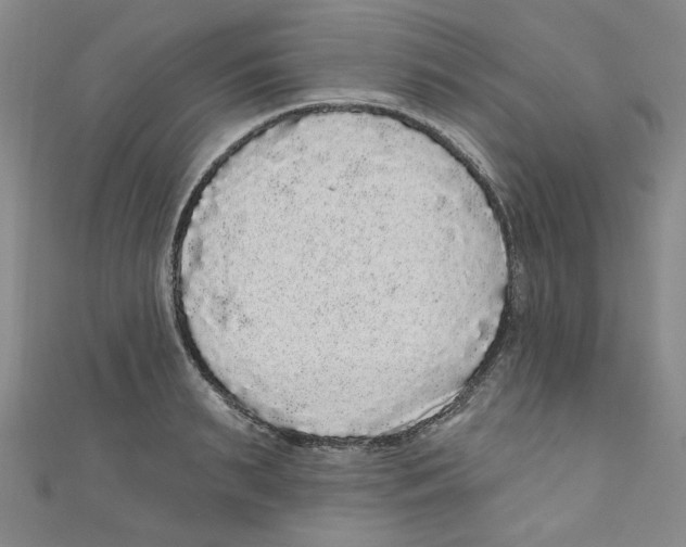 X0000110940895200907171605