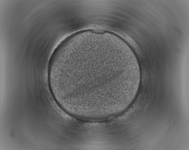 X0000110940896200907171605