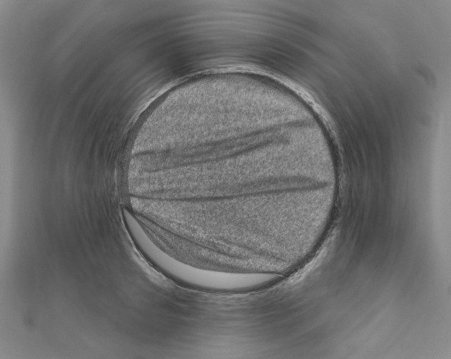 X0000110940897200907171605