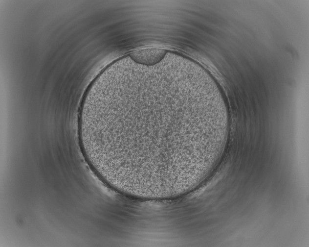 X0000110940898200907171605