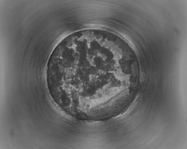 X0000110940899200907171605