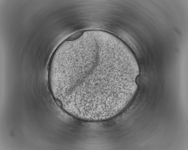X0000110940900200907171605