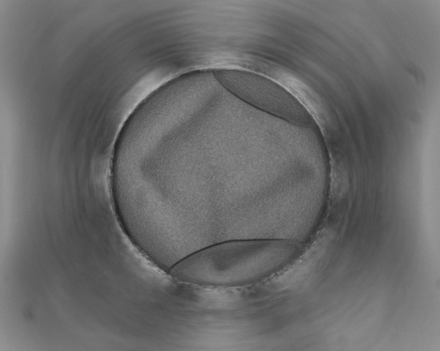 X0000110940901200907171605