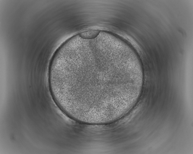 X0000110940902200907171605