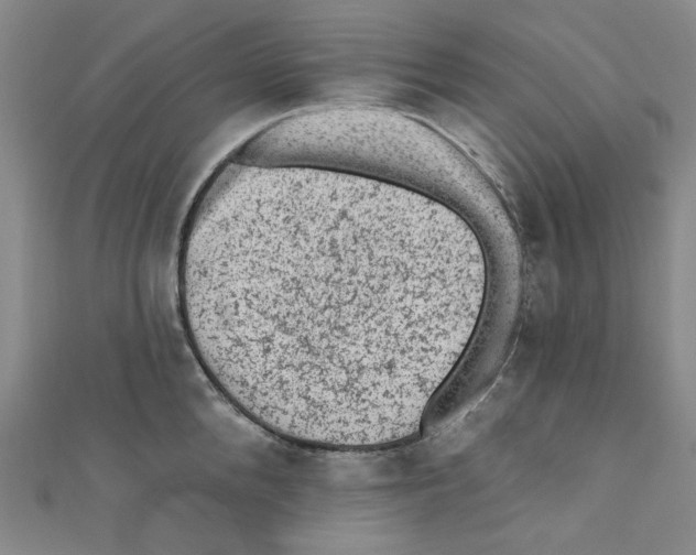 X0000110940904200907171605