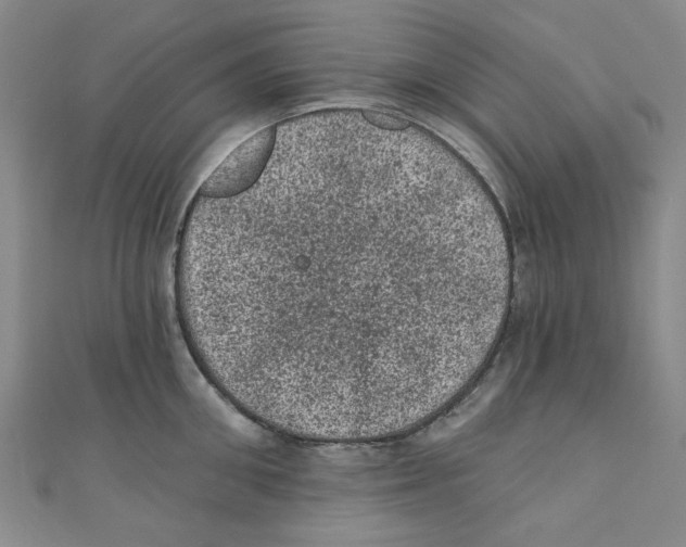 X0000110940906200907171605