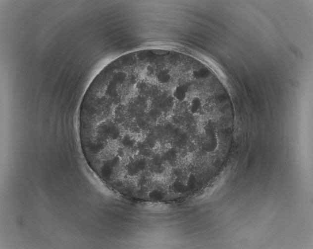 X0000110940907200907171605