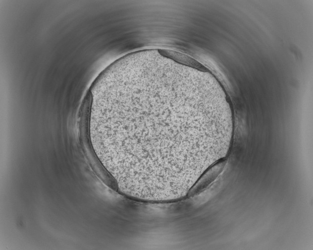 X0000110940908200907171605