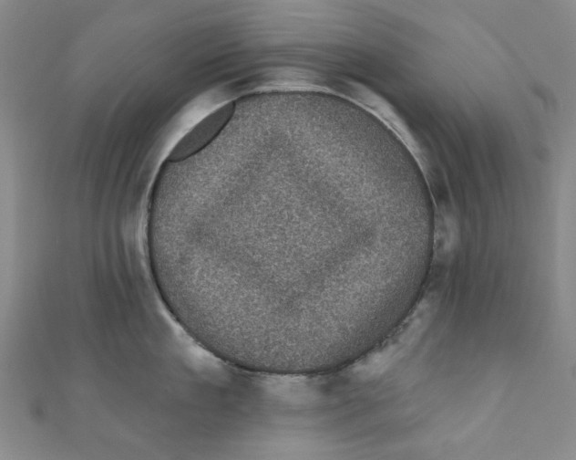 X0000110940909200907171605