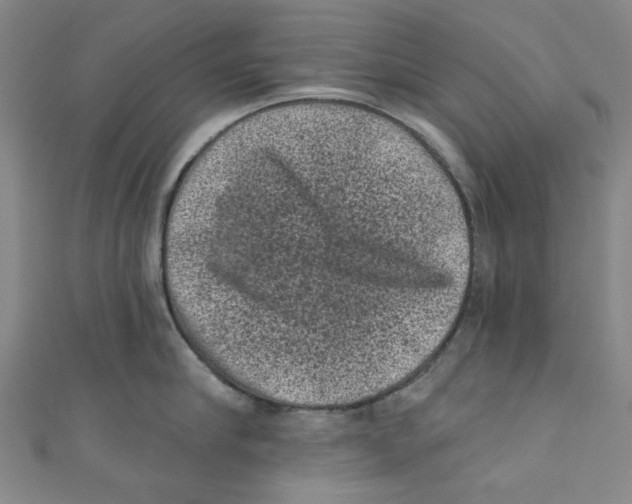 X0000110940910200907171605