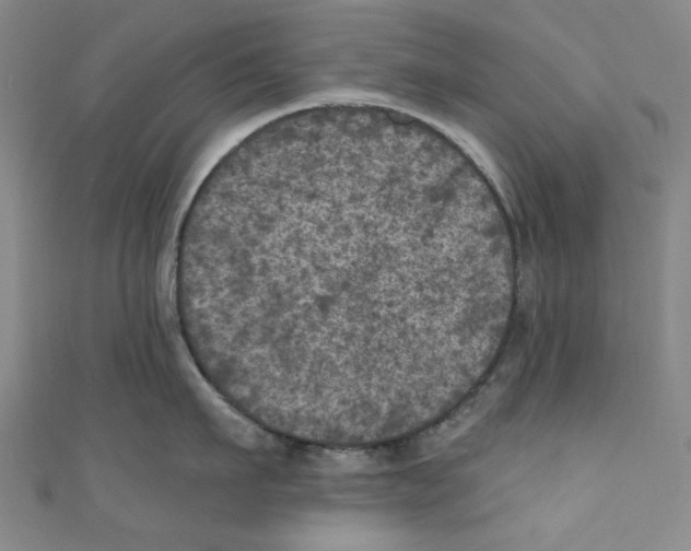 X0000110940911200907171605