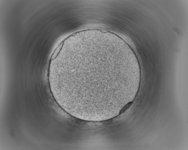 X0000110940912200907171605