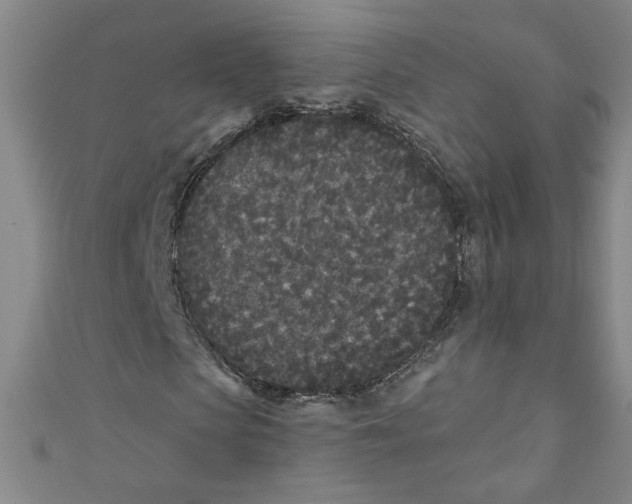 X0000110940913200907171605