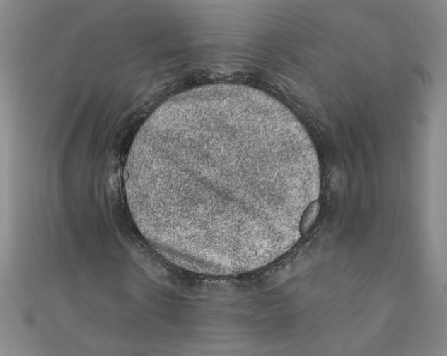 X0000110940914200907171605