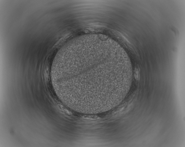 X0000110940915200907171605