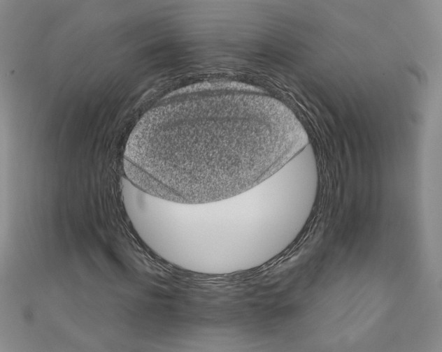 X0000110940916200907171605