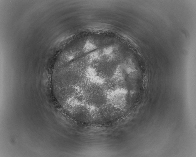 X0000110940917200907171605